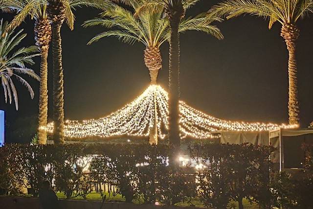 Canopy Bal Harbour