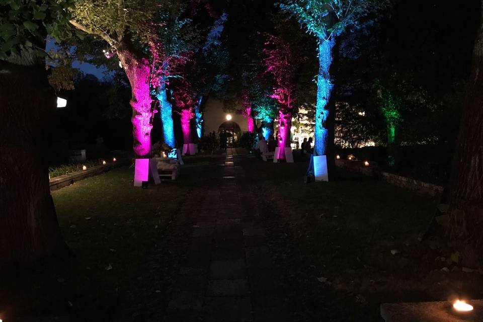 Illuminazione alberi