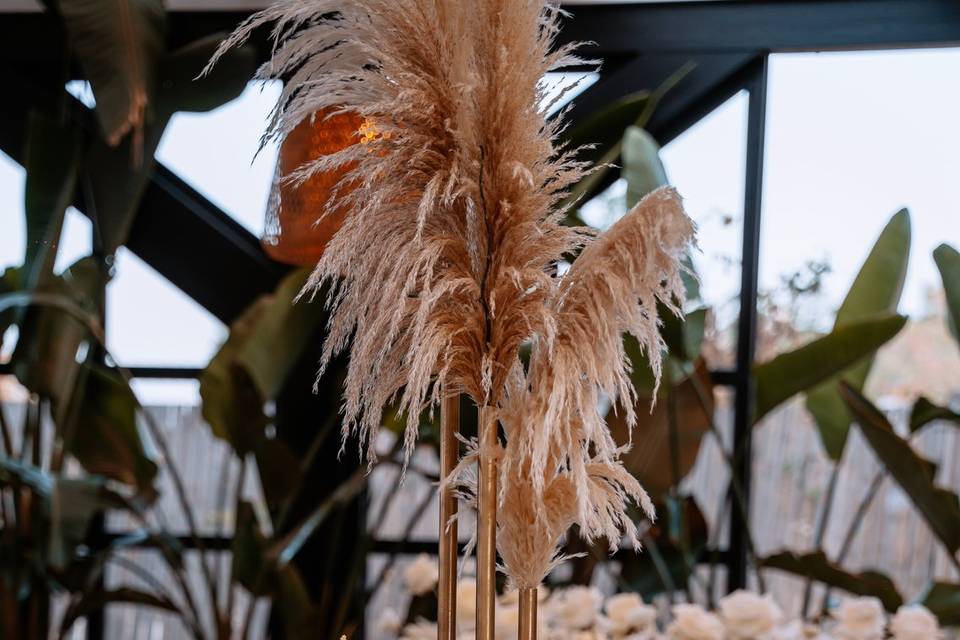 Lost Paradise Resort