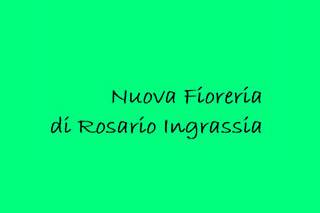 Nuova fioreria