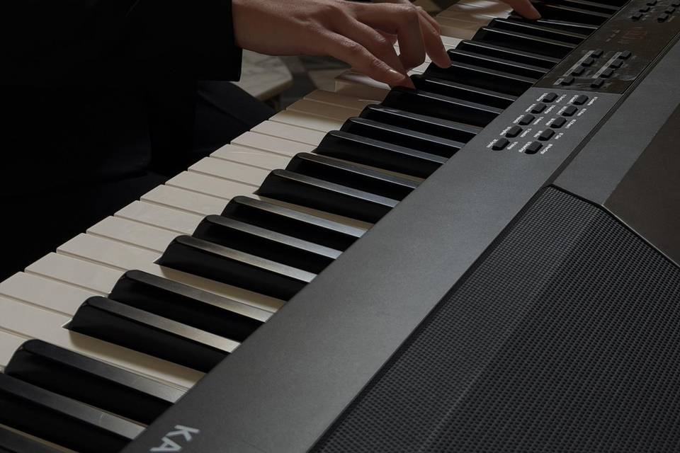 Intreccimusic