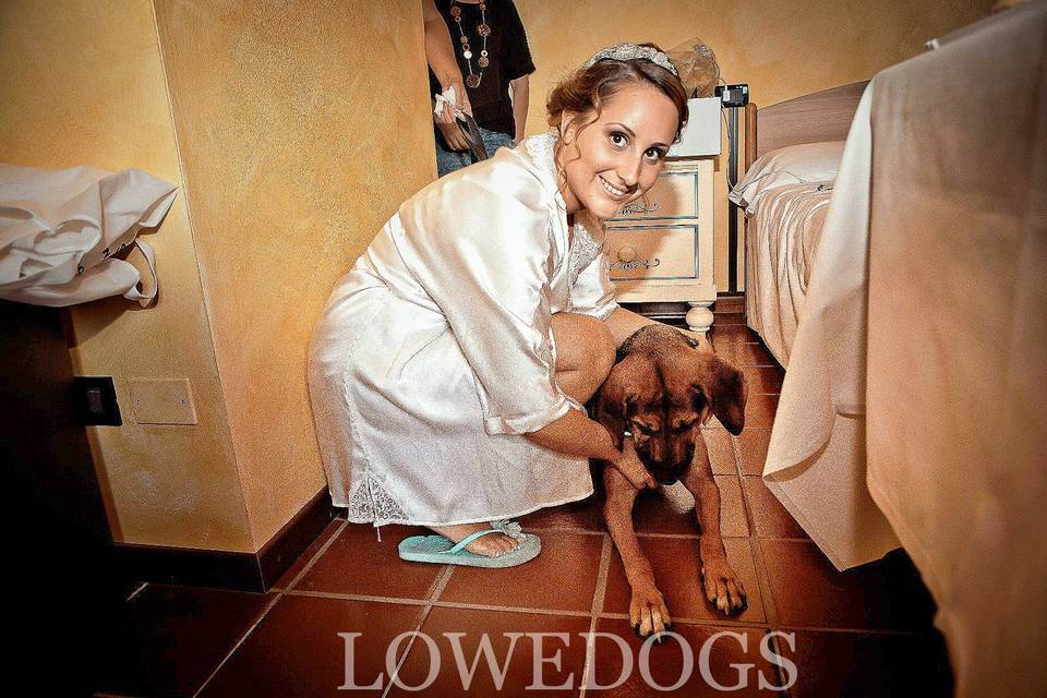 Lowedogs invitati a 4 zampe