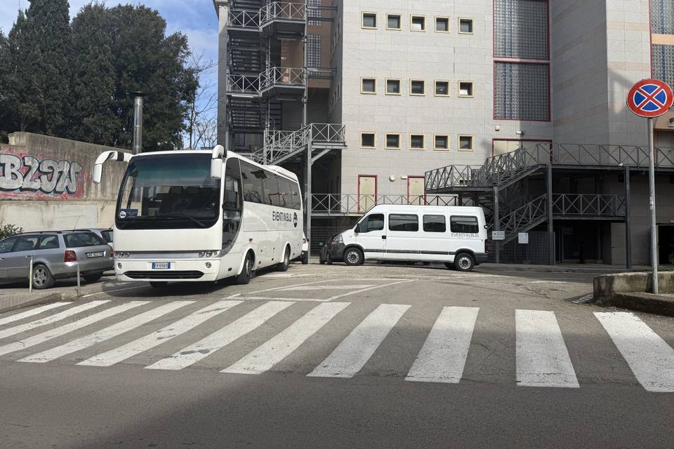 Bus 31 posti + 17 posti