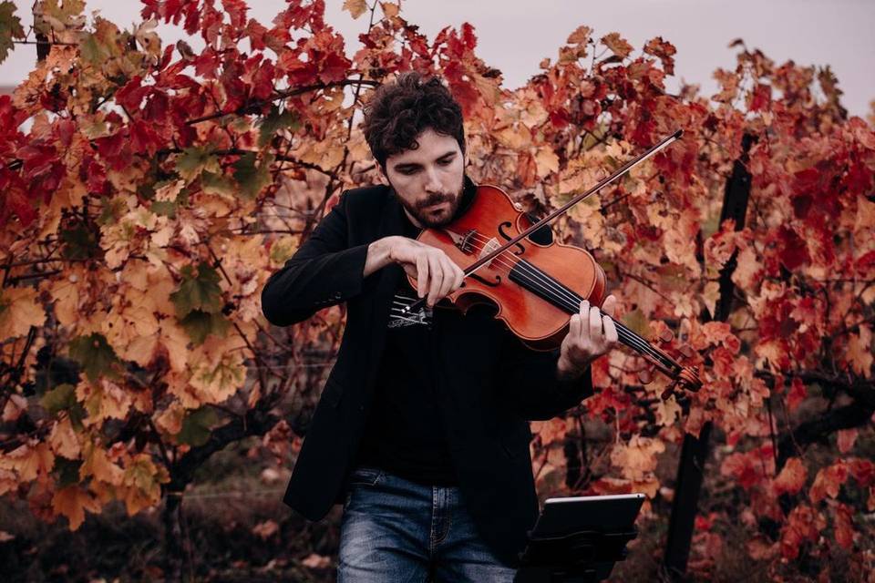 Dario Cappiello (violinista)