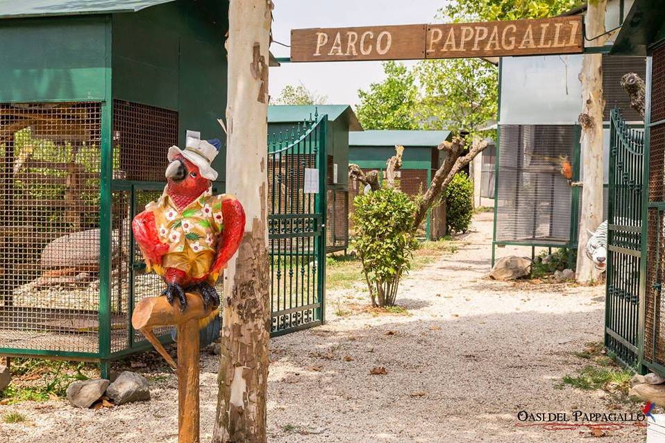 Agriturismo L'Oasi Del Pappagallo