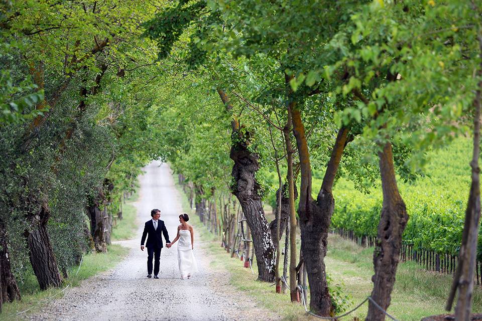 Matrimonio a Montalcino