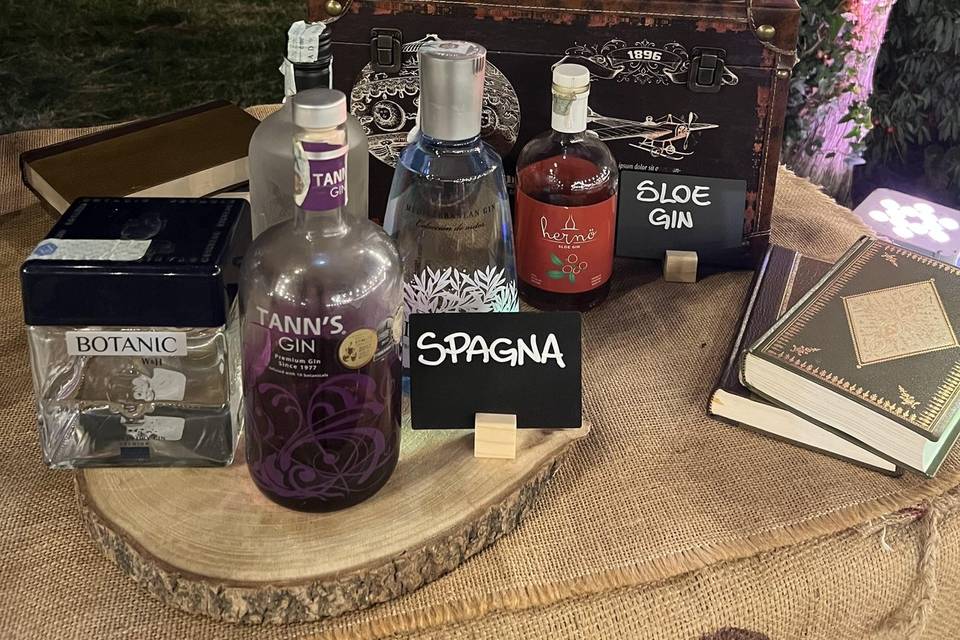 Gin Corner: Spagna & Sloe Gin