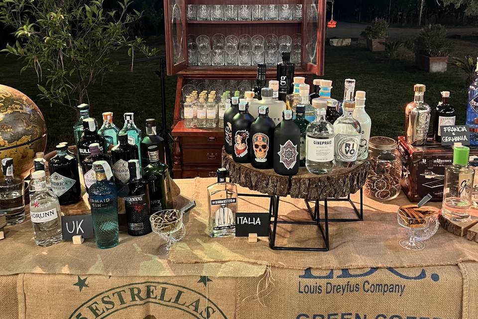 Gin Corner: Overview