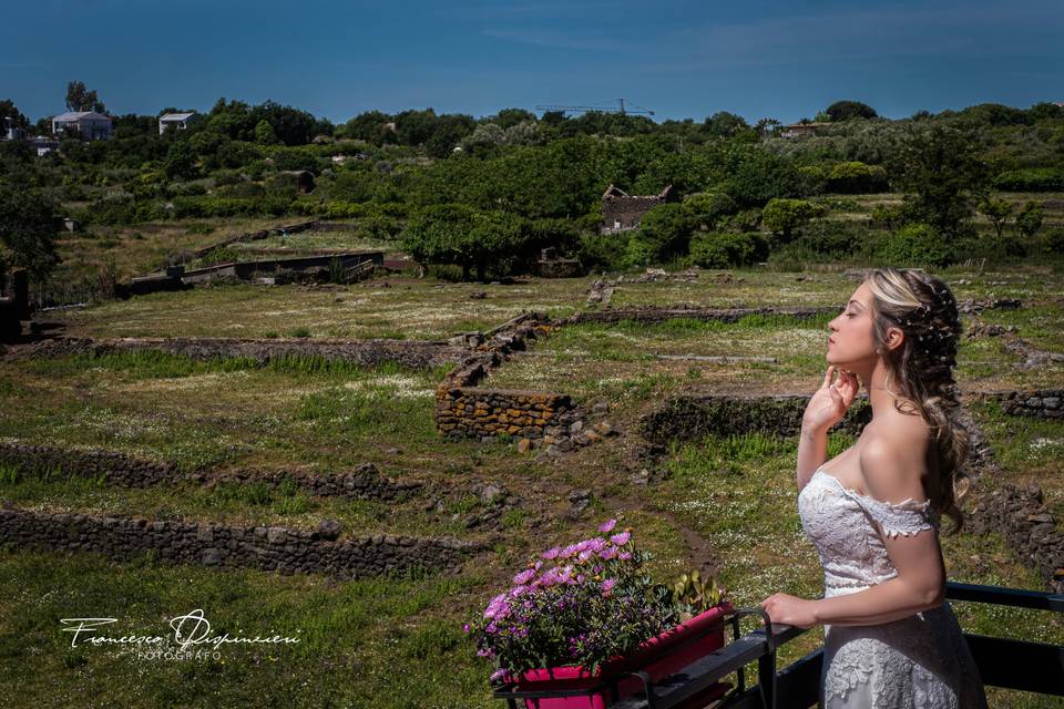 Francesco Dispinzieri Fotografo