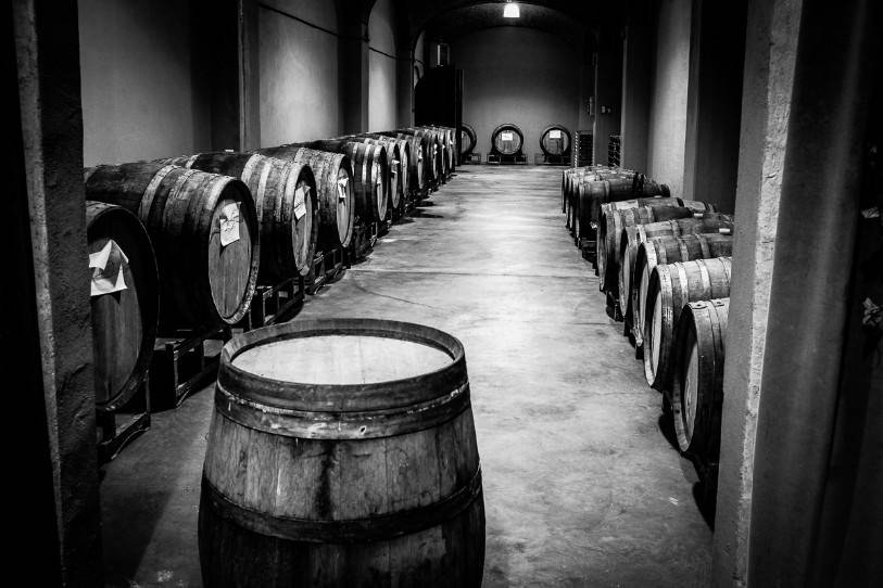 Podere Cavaga Agribio & Winery