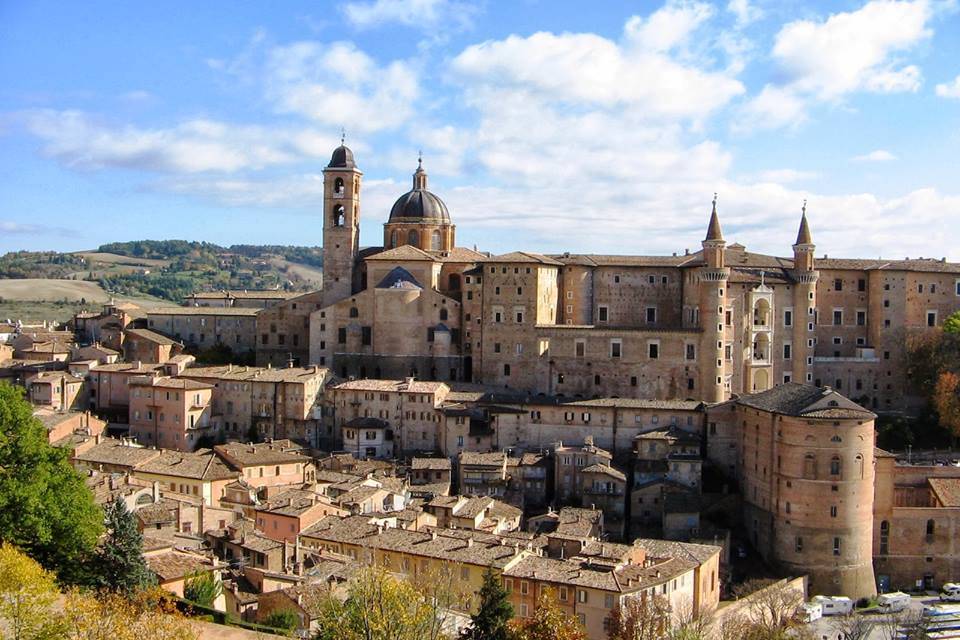 Urbino