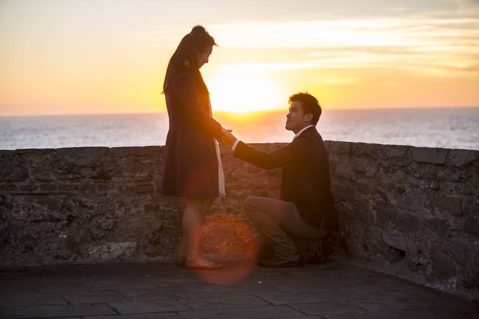 Francesca Peruzzini Proposal