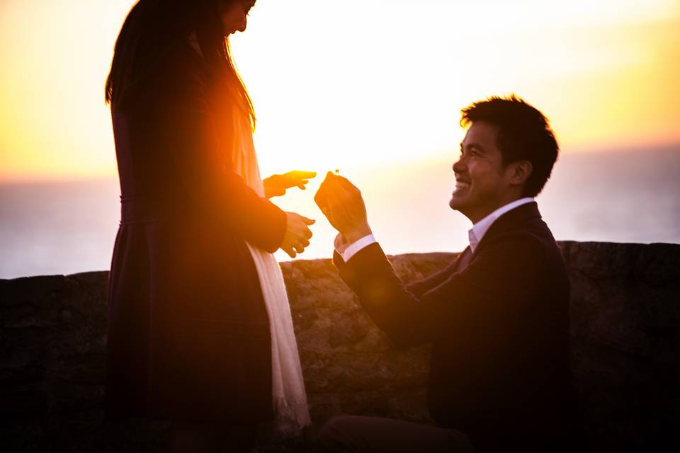 Francesca Peruzzini Proposal