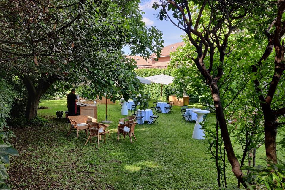 Prato con alberi secolari