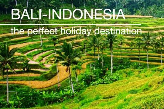 Bali & Indonesia