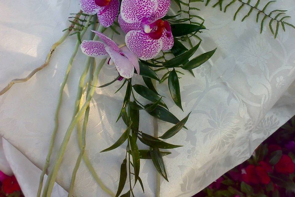 Bouquet  phalenopsis