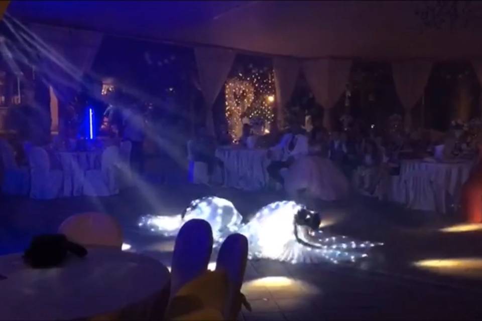 Led Wings Led Show