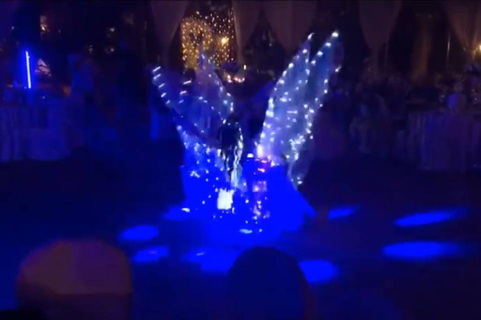 Led Wings