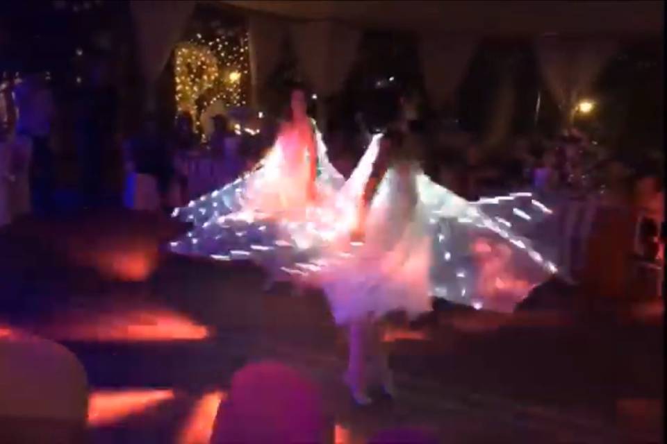 Led Wings