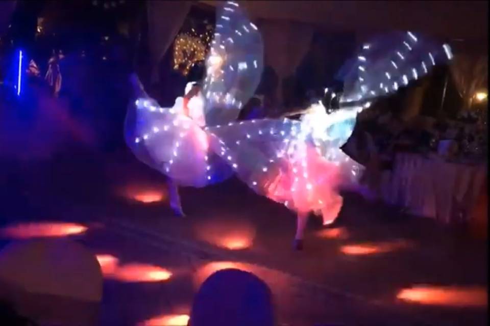 Led Wings