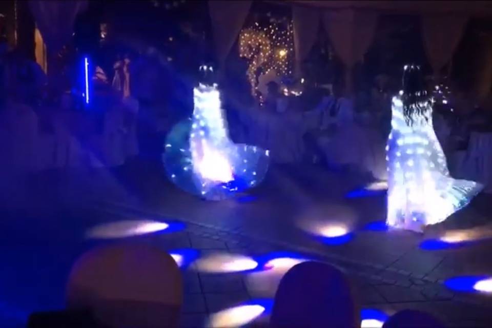 Led Wings