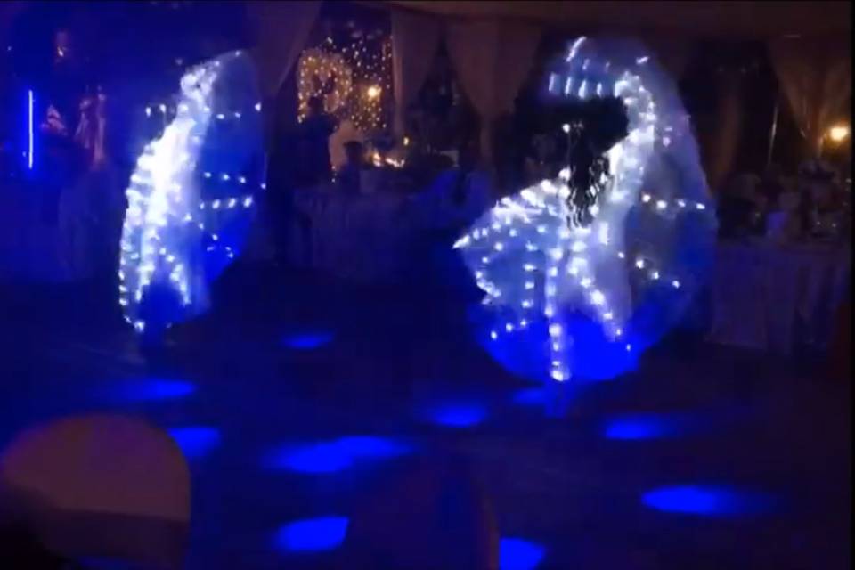 Led Wings