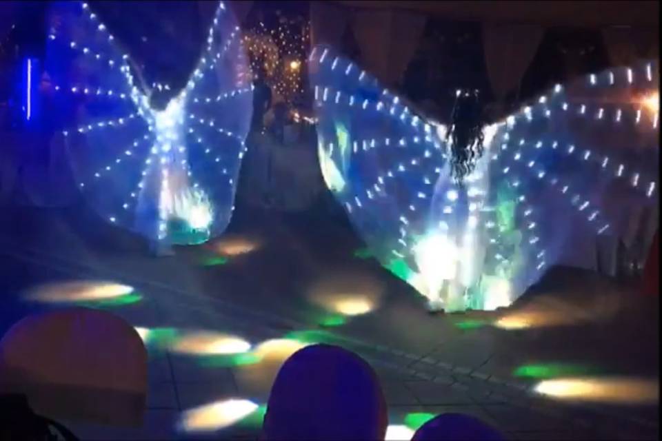 Led Wings