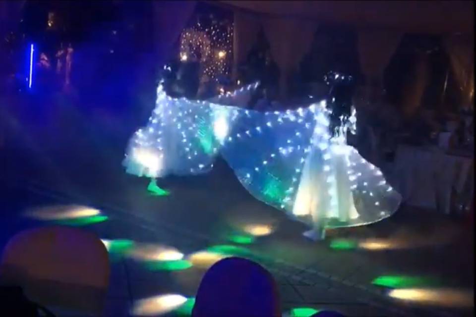 Led Wings