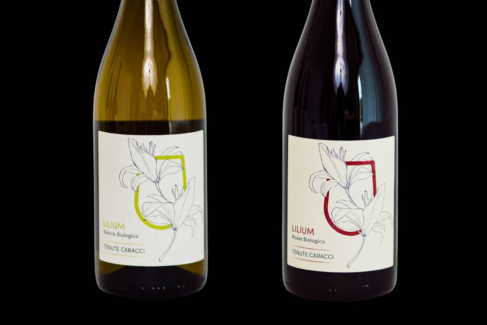 Vino Bio bianco e rosso