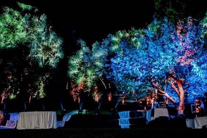 Illuminazione giardino