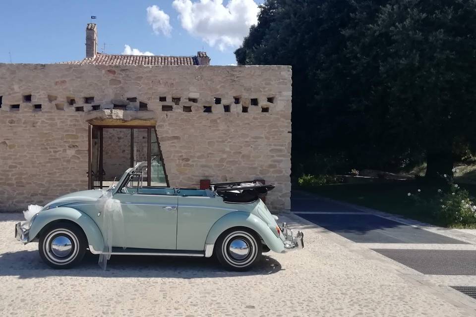 Maggiolino cabrio