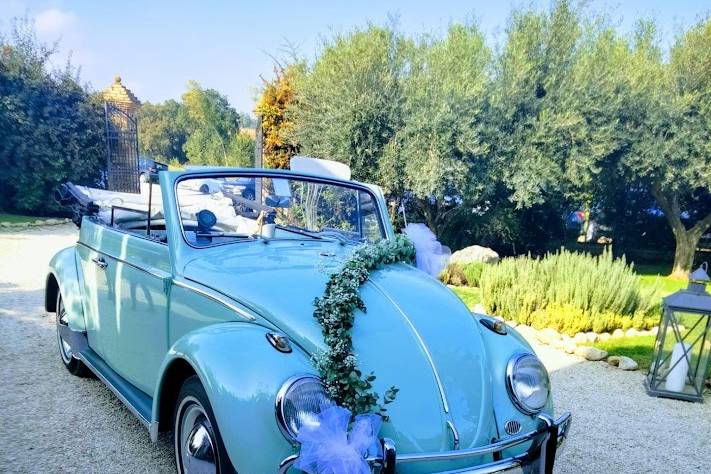 Maggiolino cabrio