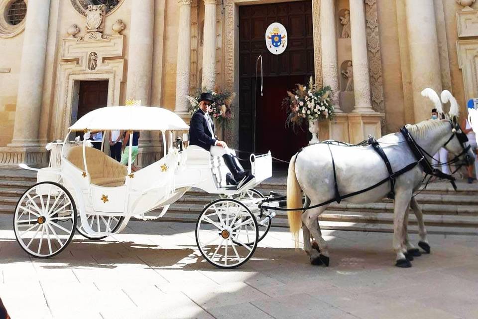 Matrimonio in Carrozza Conversano