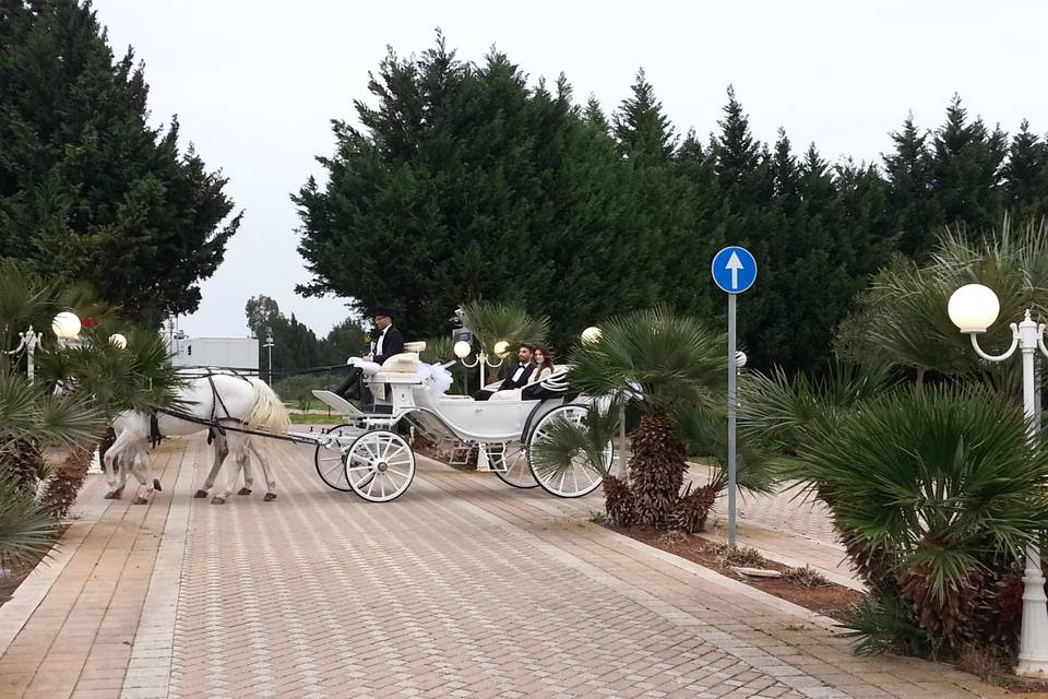 Matrimonio in Carrozza Conversano