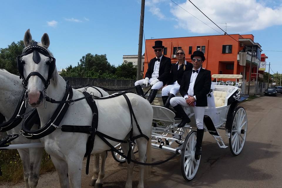 Matrimonio in Carrozza Conversano