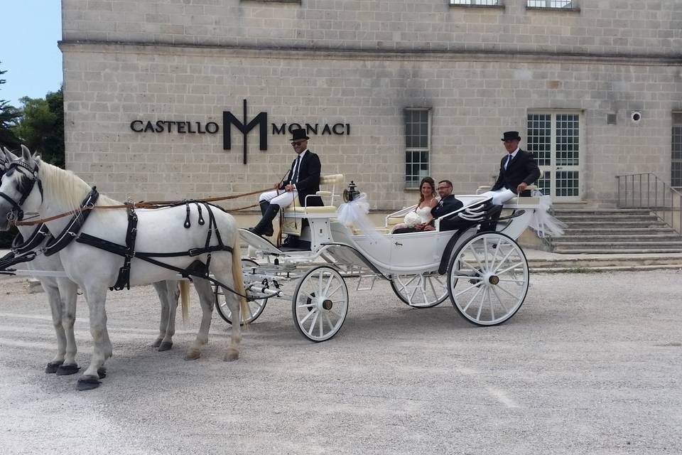 Matrimonio in Carrozza Conversano