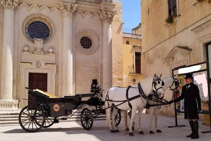 Matrimonio in Carrozza Conversano