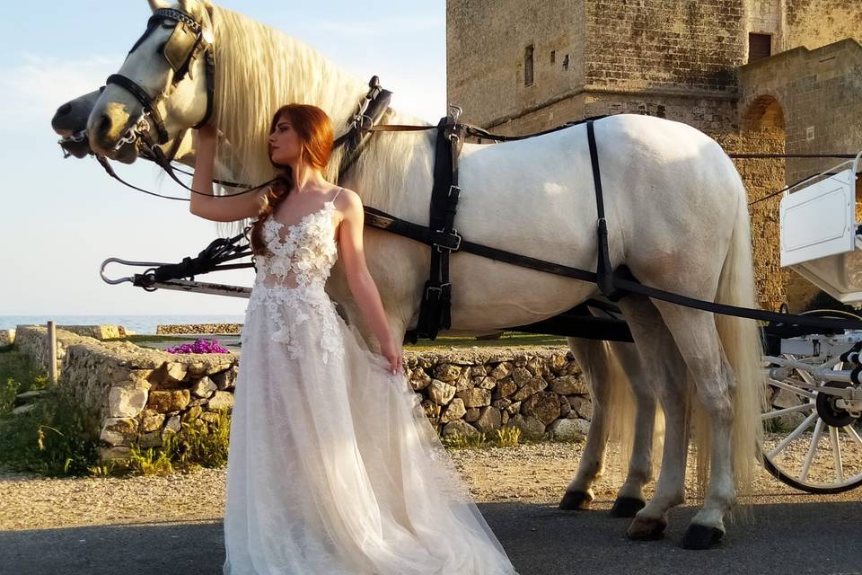 Matrimonio in Carrozza Conversano