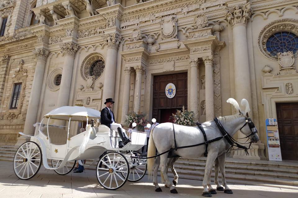 Matrimonio in Carrozza Conversano