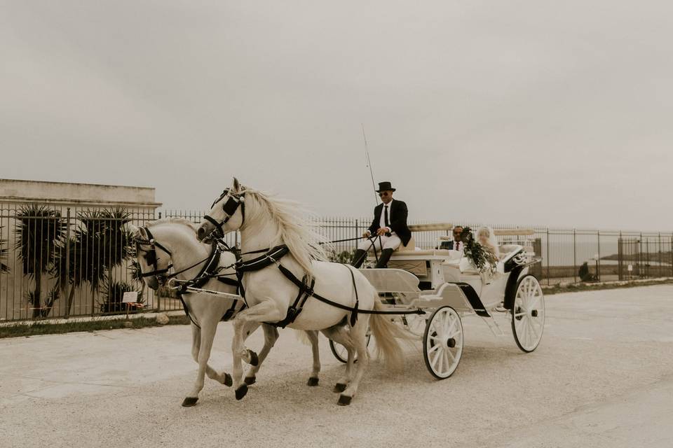 Matrimonio in Carrozza Conversano