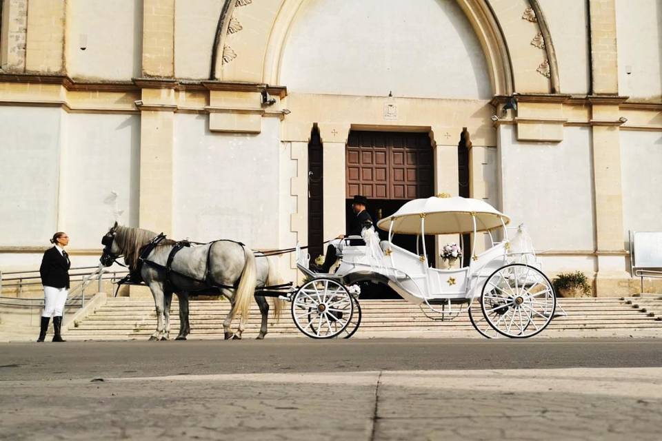 Matrimonio in Carrozza Conversano