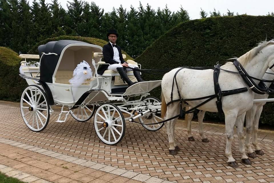 Matrimonio in Carrozza Conversano