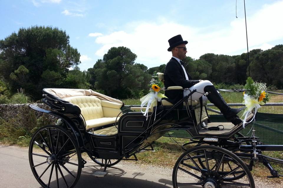 Matrimonio in Carrozza Conversano