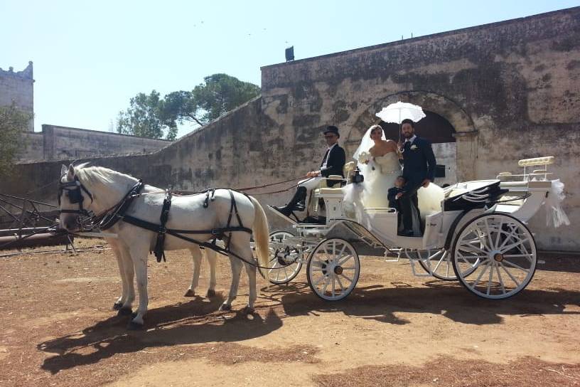 Matrimonio in Carrozza Conversano