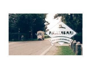 Picatabari logo