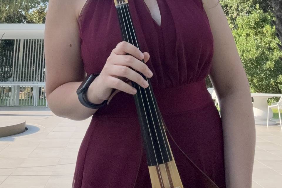 Violino elettrico per rito
