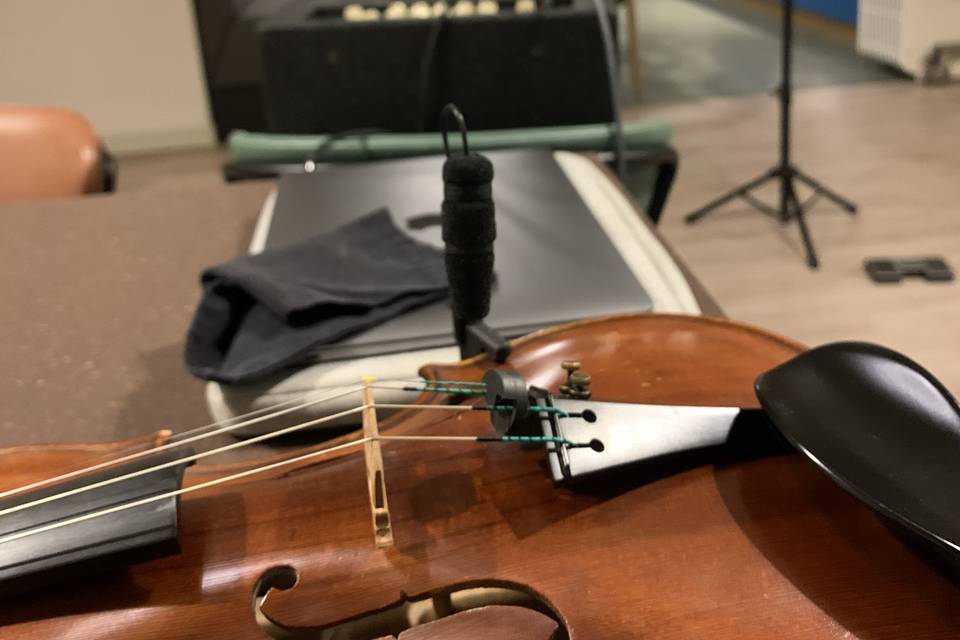 Violino in sala