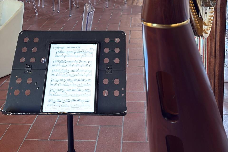 Matrimonio- Sala del Trono