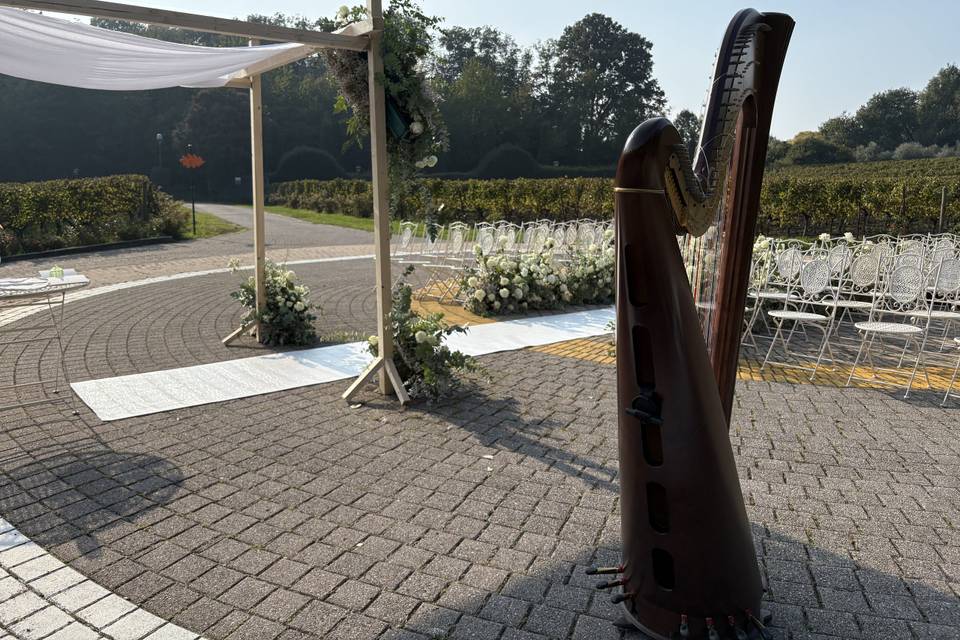 Matrimonio- L’alberata