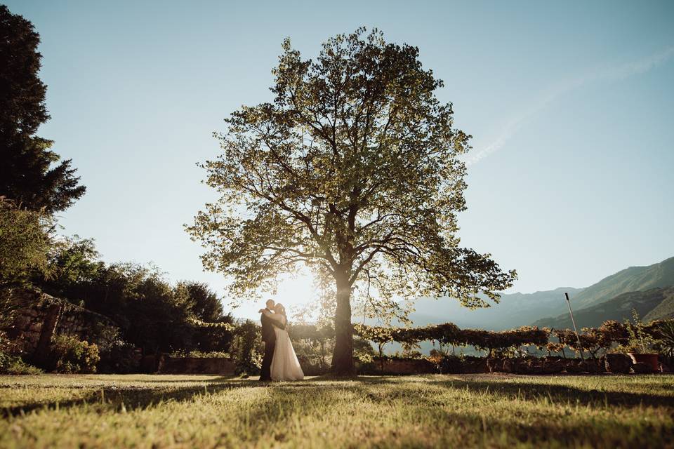 Albero della vita